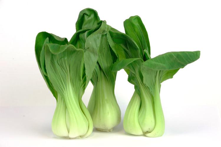 白底白菜绿叶亚洲蔬菜图片id: 587159