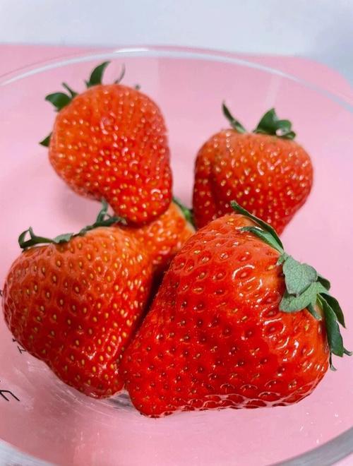 当季水果就吃丹东九九草莓